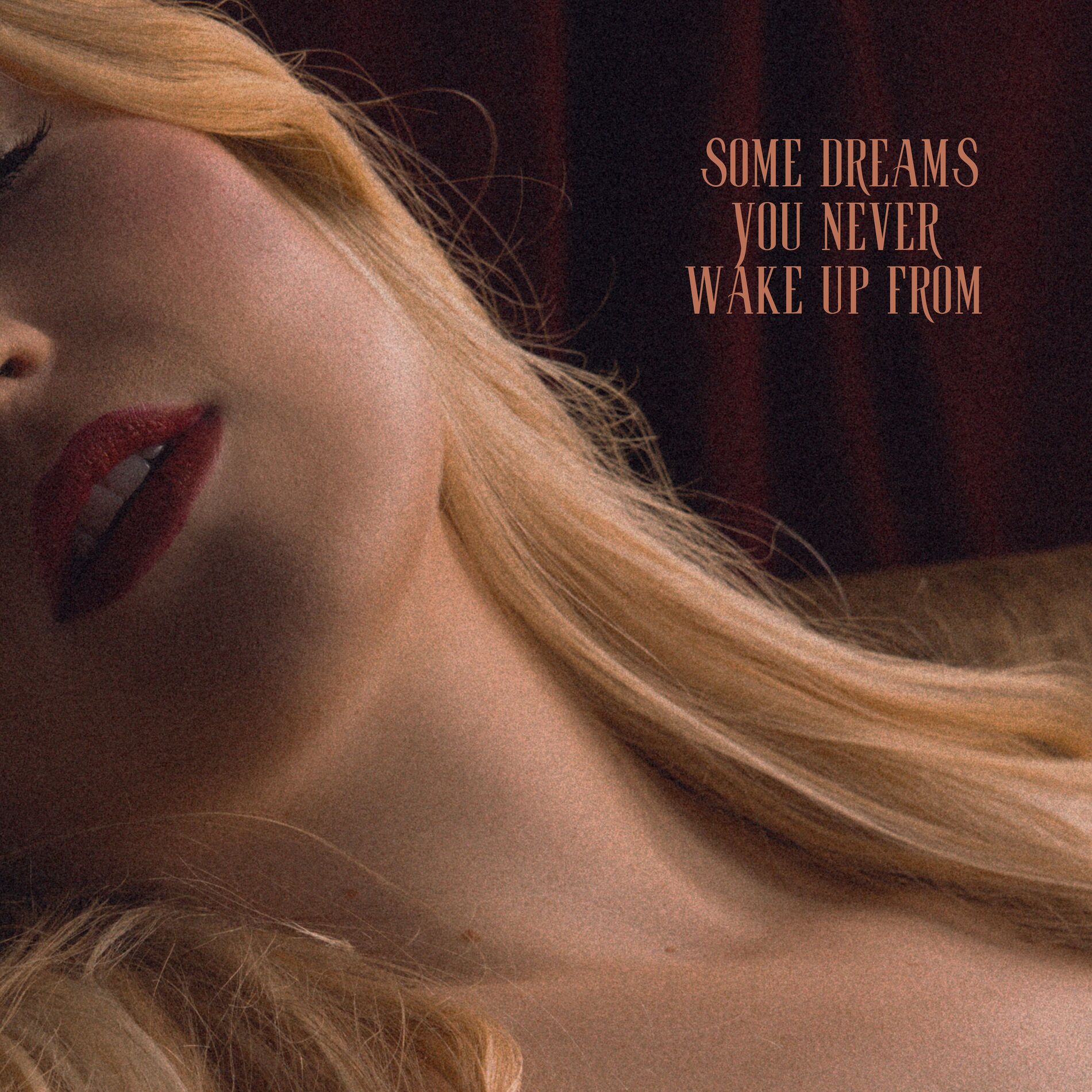 Album cover of Some Dreams You Never Wake Up From