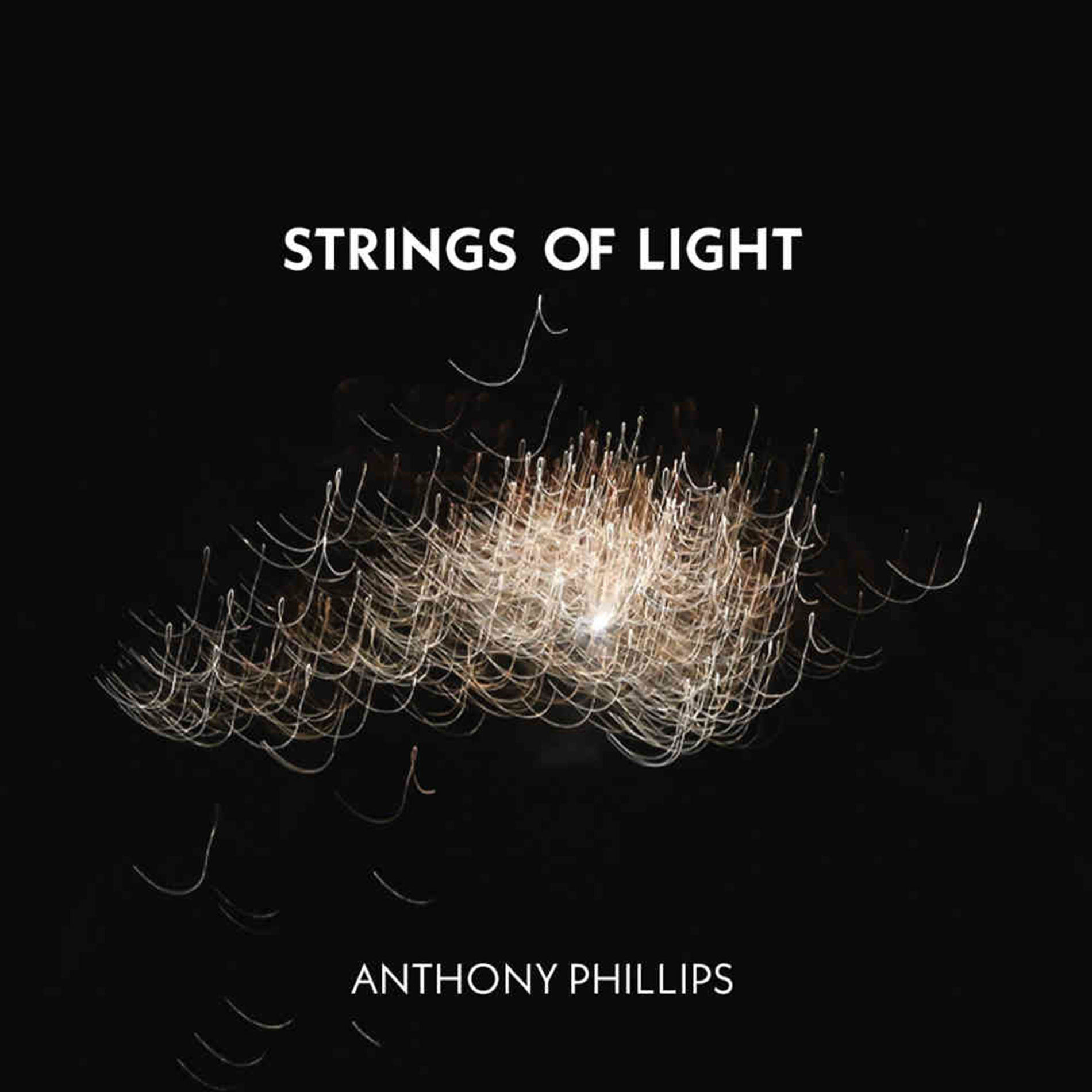 Album cover of Diamond Meadows