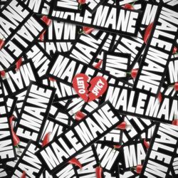 Cover of Male Mane