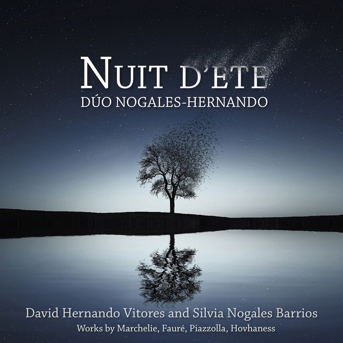 Album cover of Nuit d'été