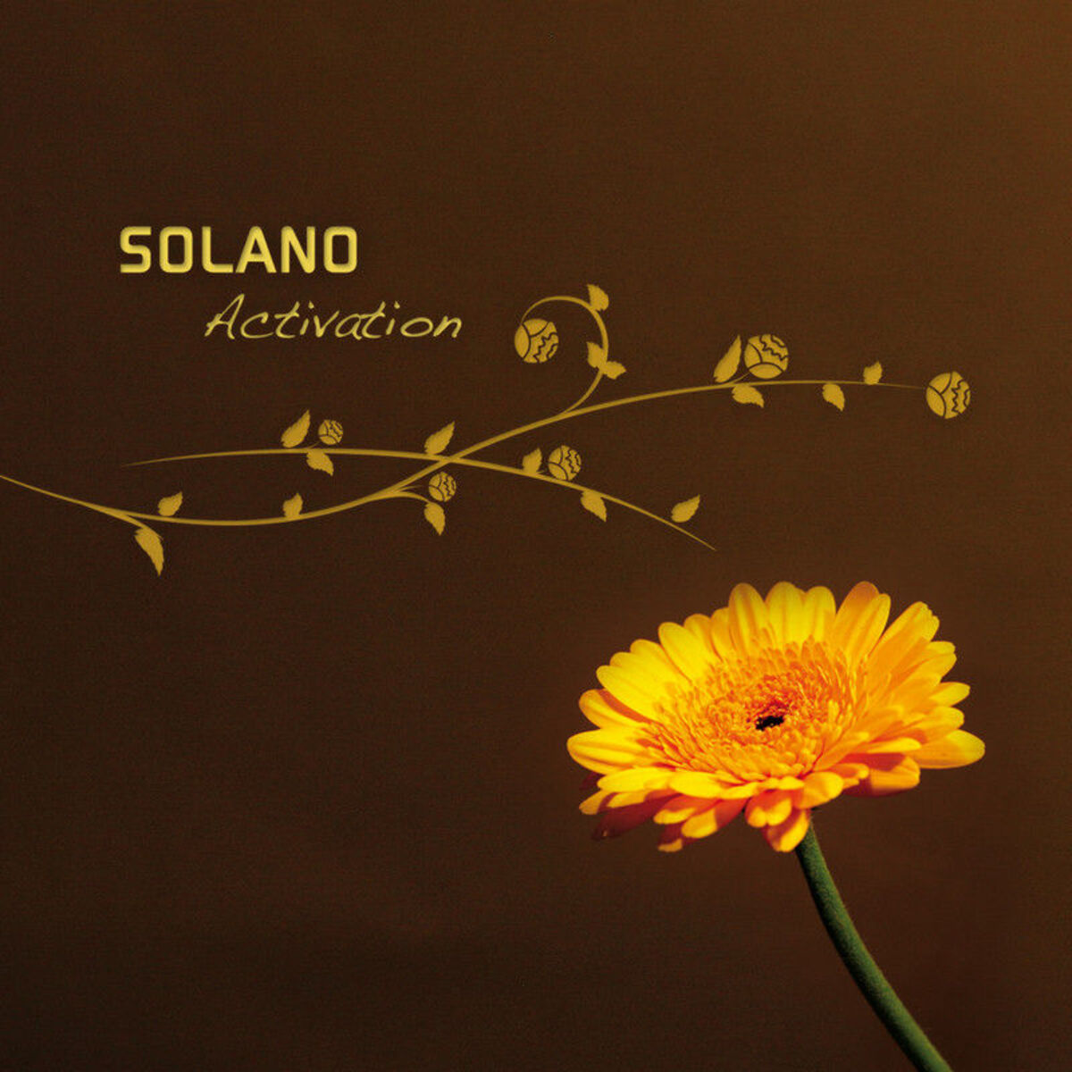 Album cover of Activation