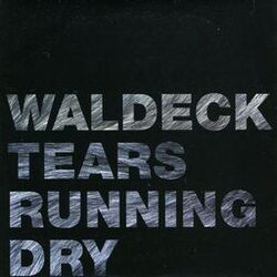 Cover of Tears Running Dry - The Mixes