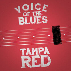Cover of Voice of the Blues