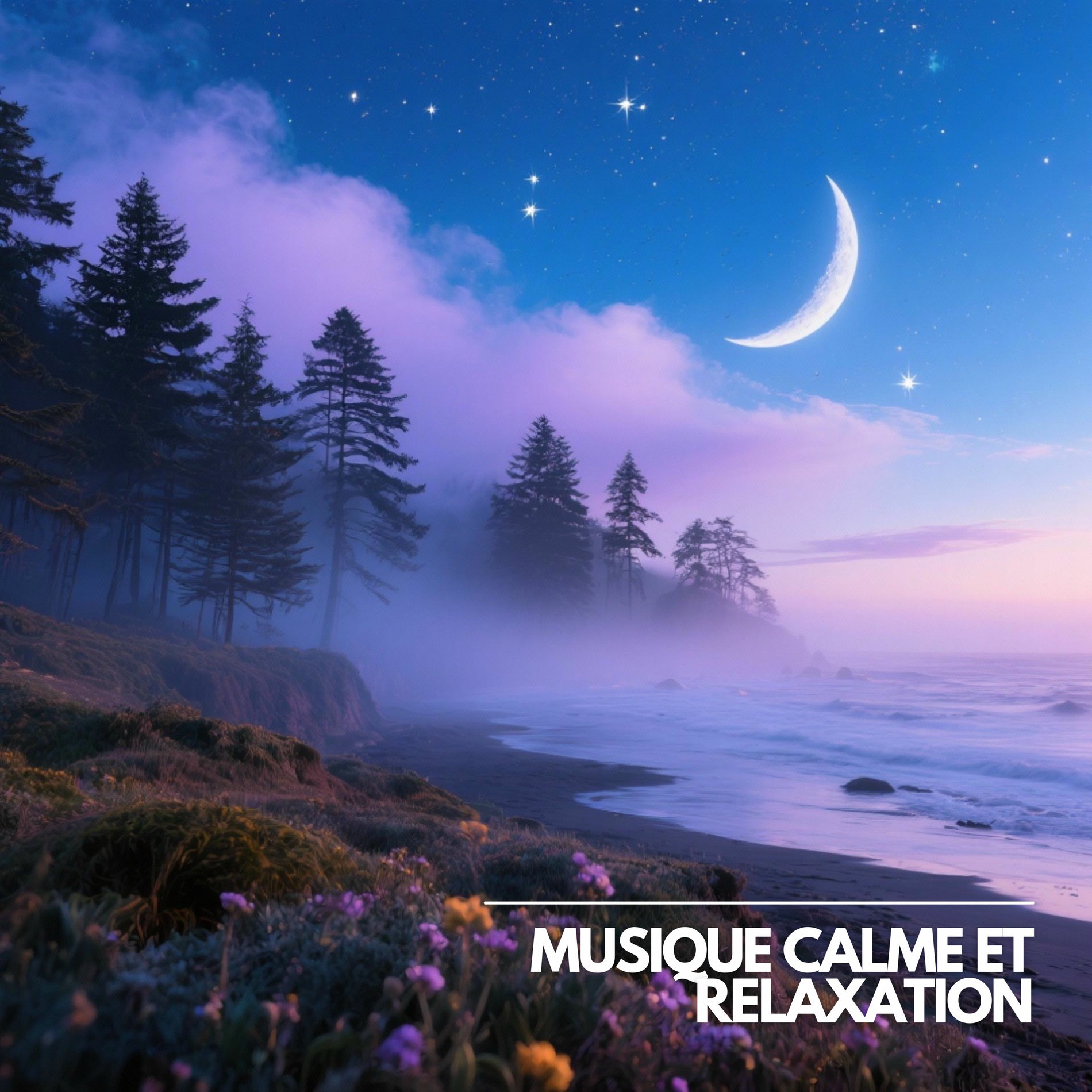 Album cover of Voyage Thêta Méditatif