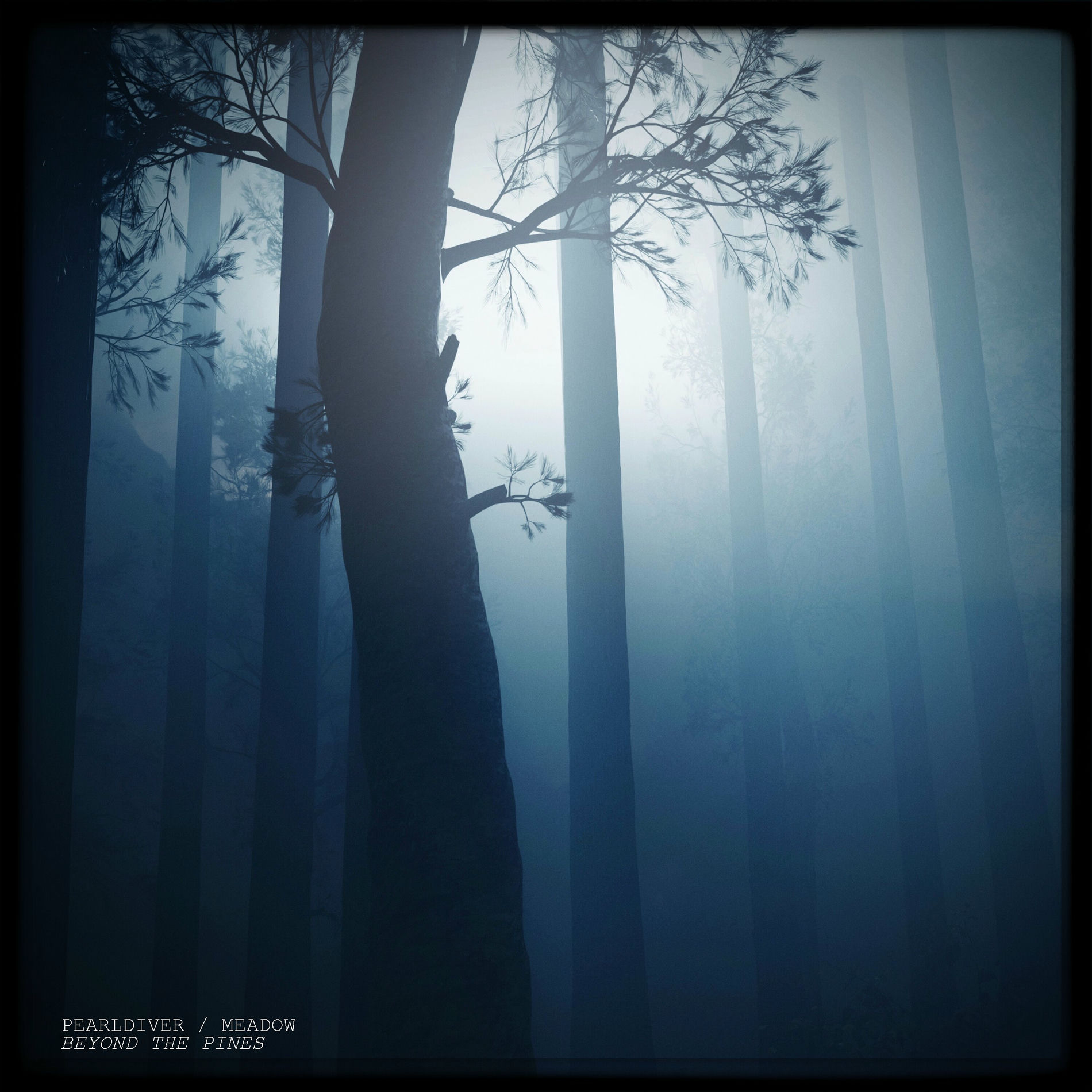 Album cover of Beyond the Pines