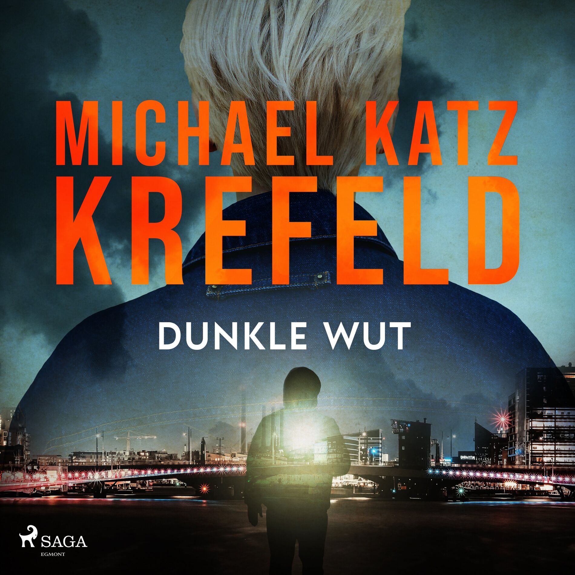 Album cover of Kapitel 01 - Dunkle Wut