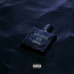 Cover of ARWMA