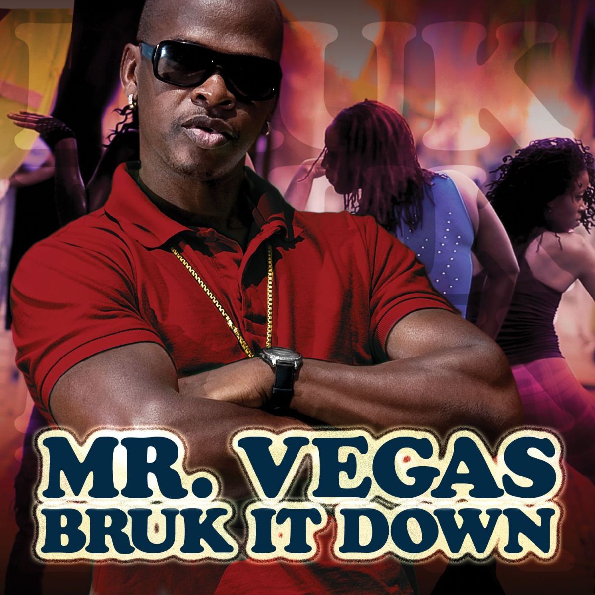 Album cover of Bruk It Down