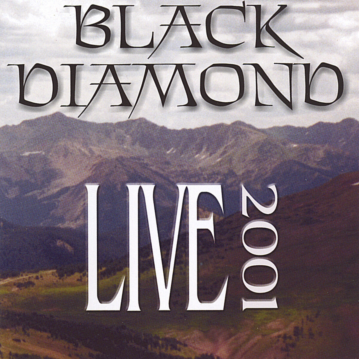New Year's Resolution | The Black Diamonds | Exotic Fever