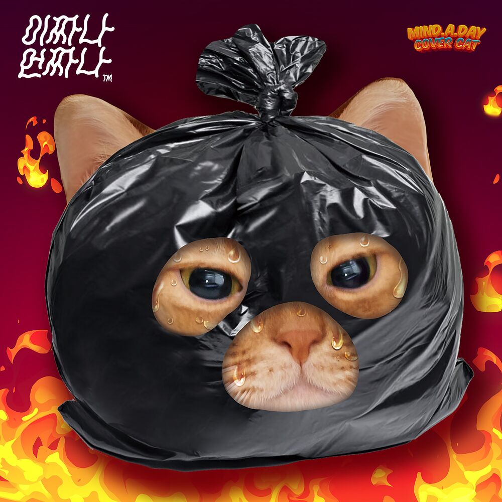 Picture of DDAM-DDI