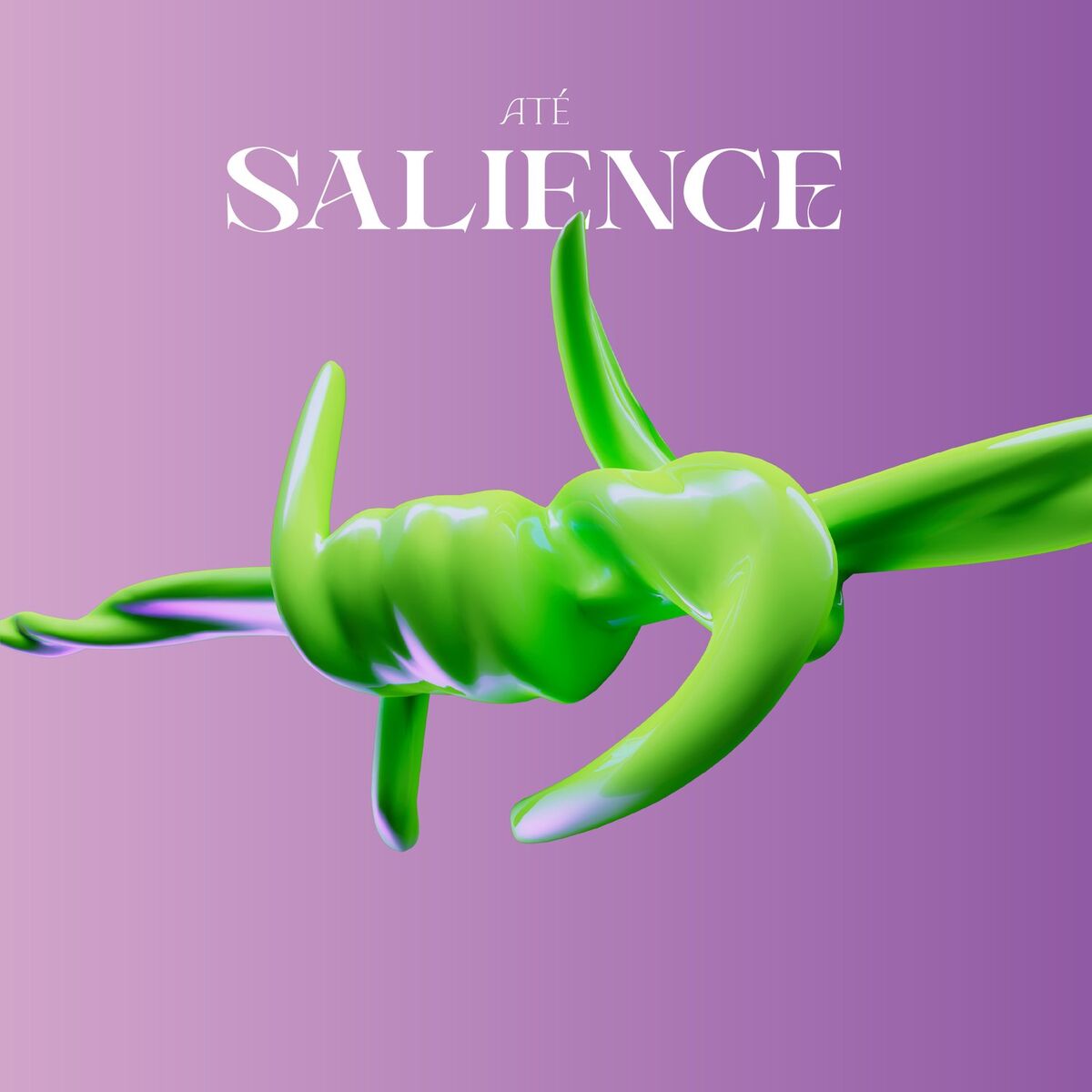 Album cover of Salience