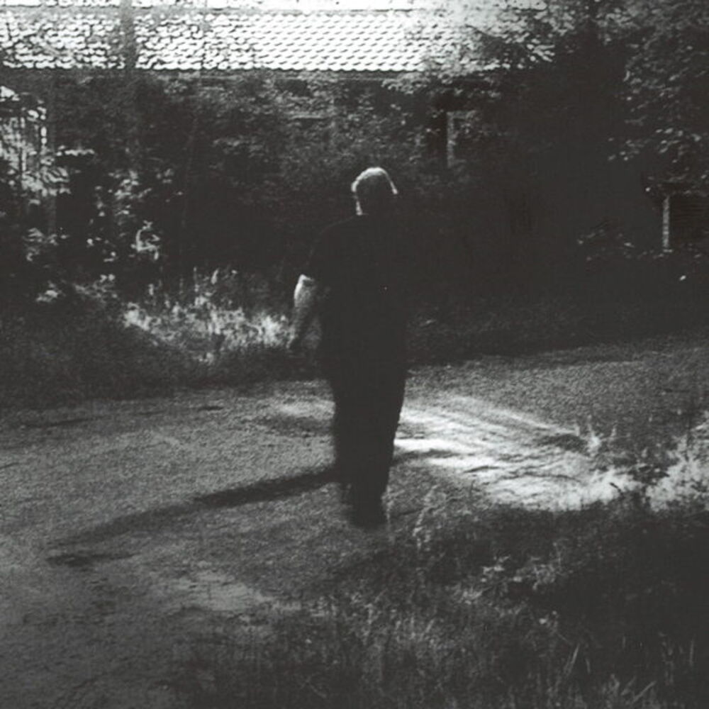 Picture of Lintu ja kukka