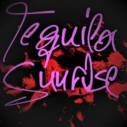 Cover of Tequila Sunrise