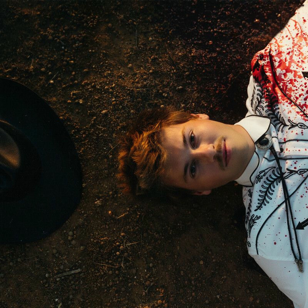 Album cover of The Suburbs