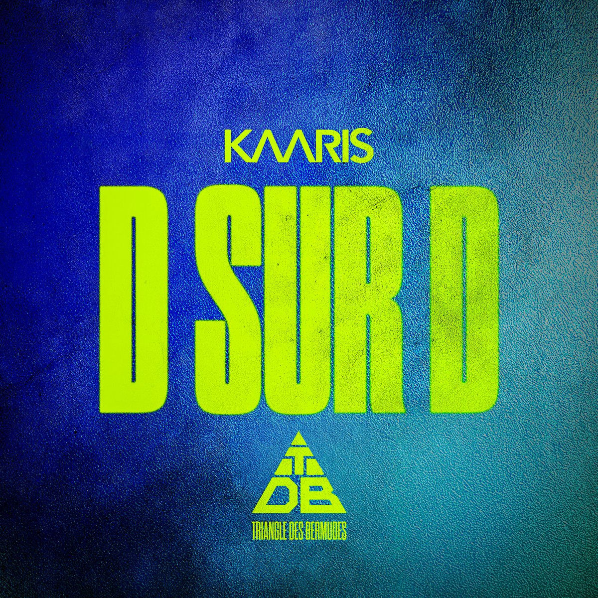 Album cover of D SUR D