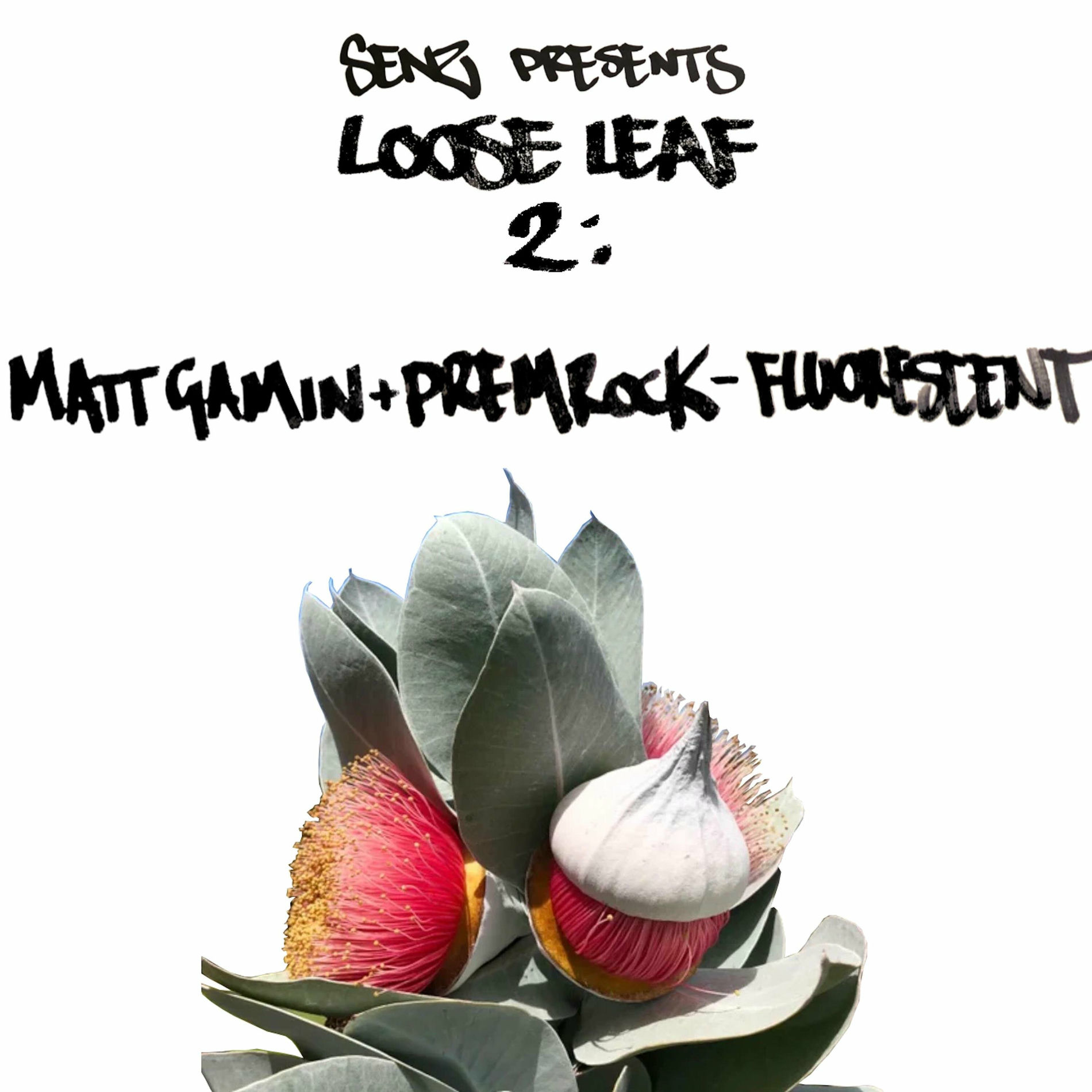Album cover of Fluorescent (feat. Matt Gamin & PremRock)