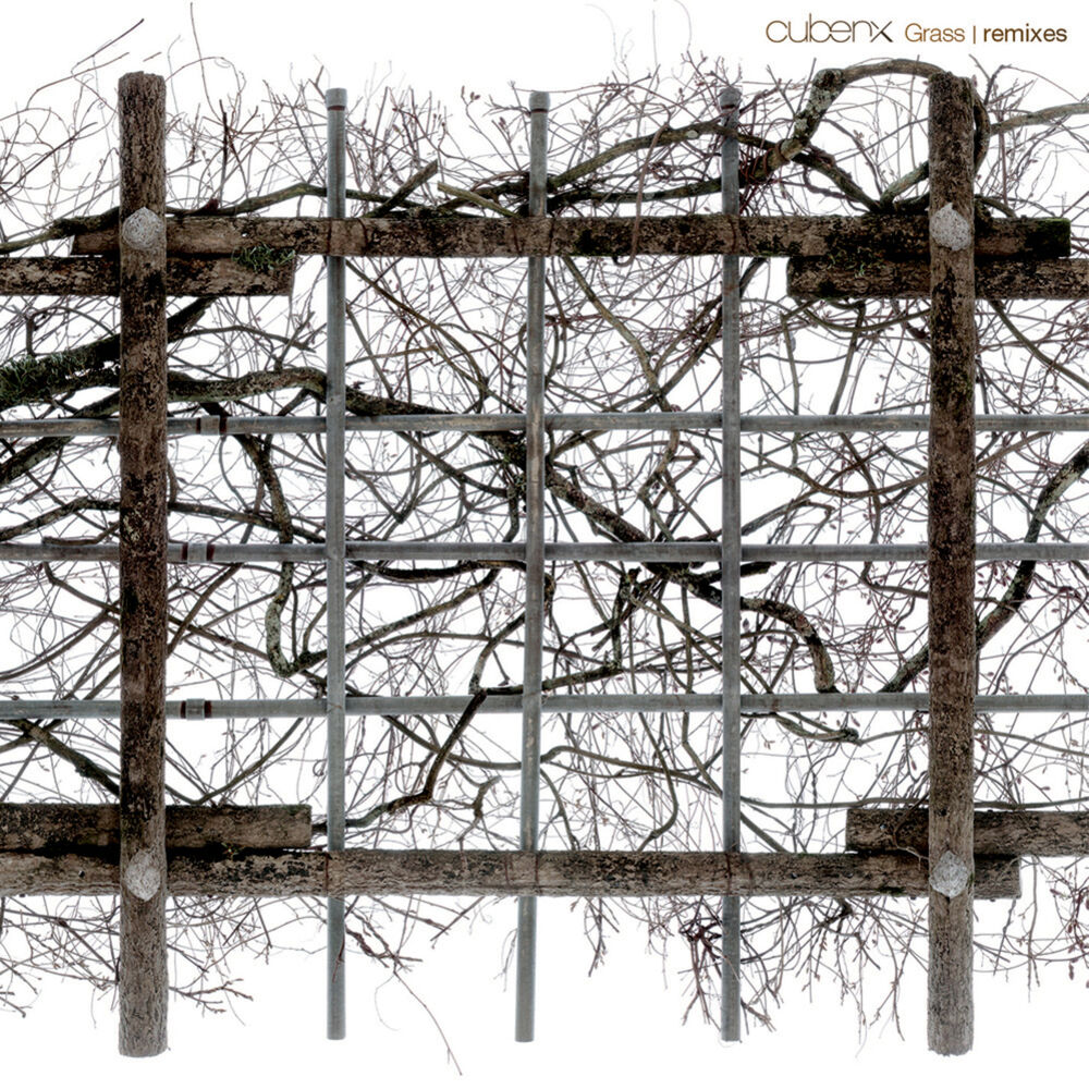 Picture of Grass (Remixes)