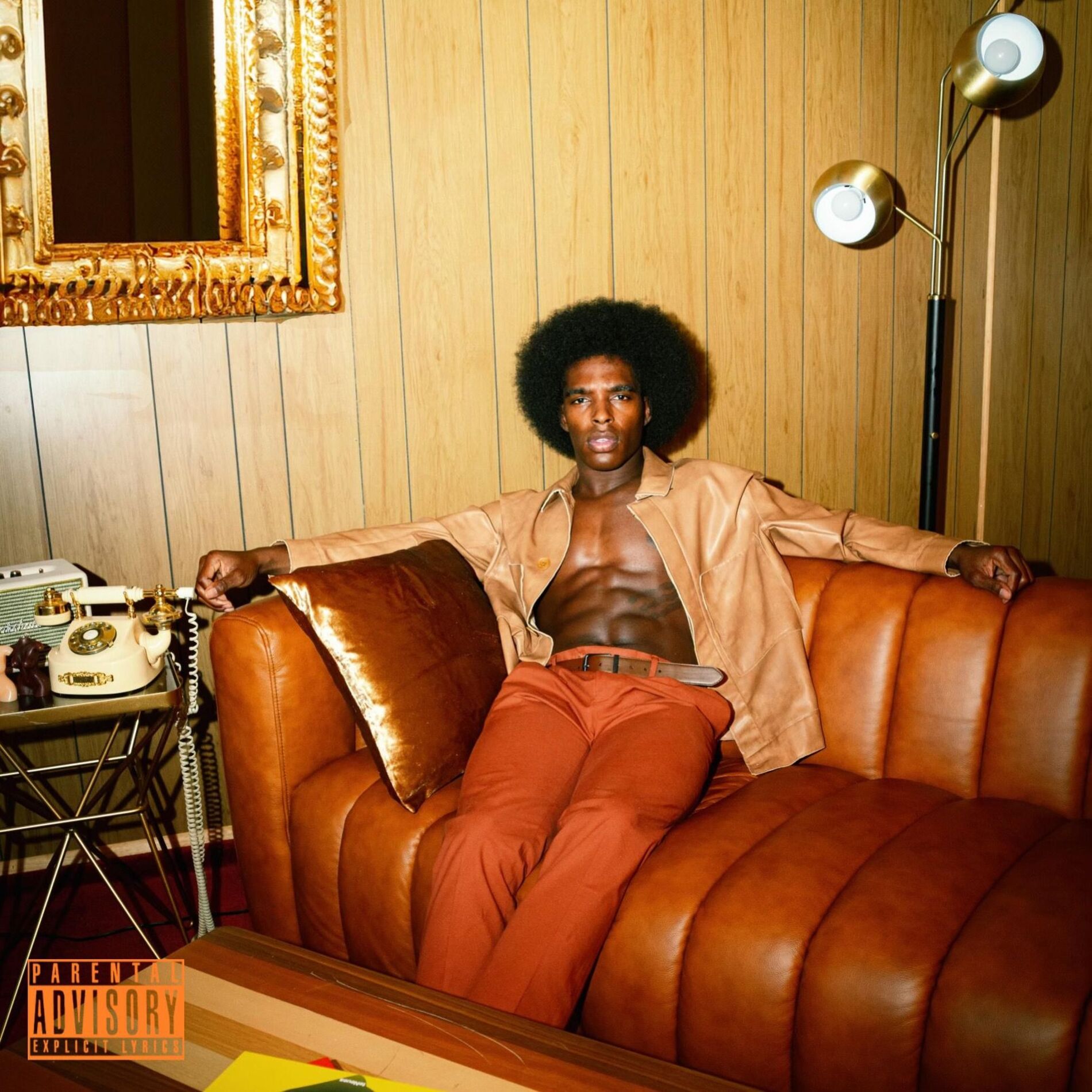 Album cover of Polyester