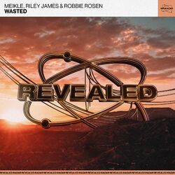 Cover of Wasted