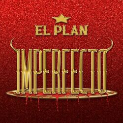 Cover of Imperfecto