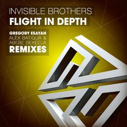 Cover of Flight in Depth