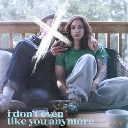 Cover of I Don’t Even Like You Anymore