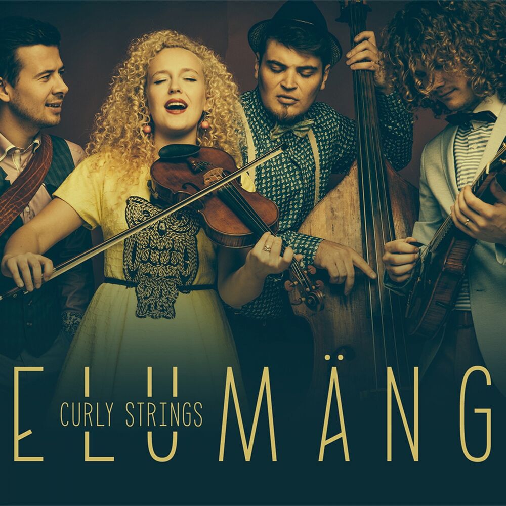 Picture of Elumäng