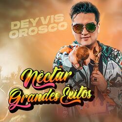 Cover of Néctar, Grandes Éxitos