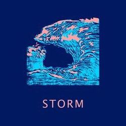 Cover of Storm