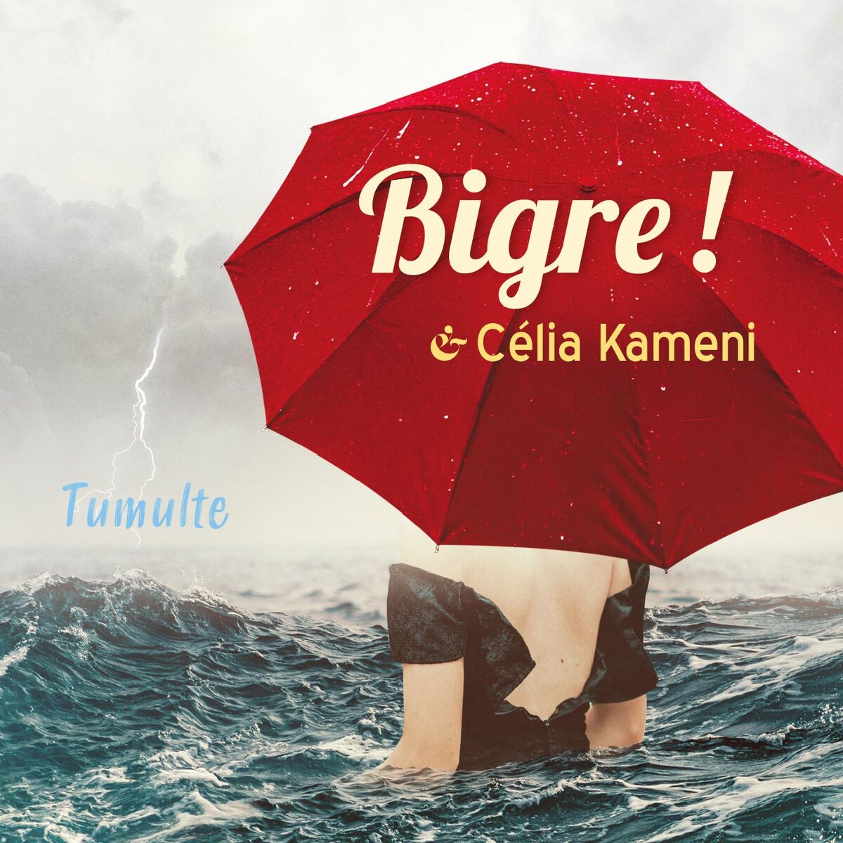 Album cover of Bigre !
