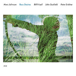 Cover of Bass Desires