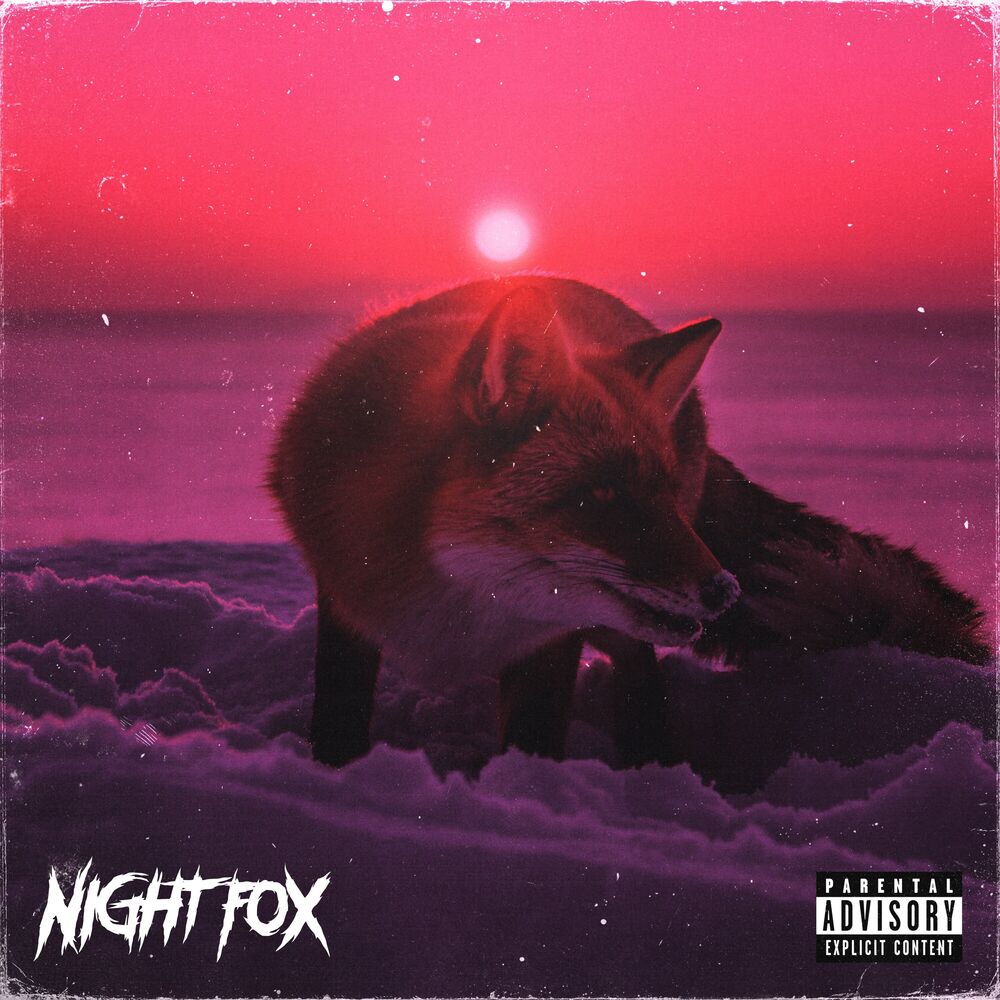 Picture of NIGHT FOX