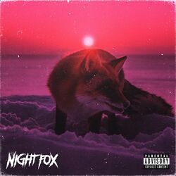 Cover of NIGHT FOX