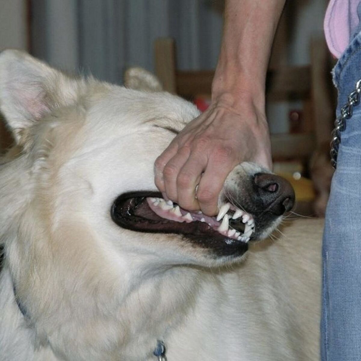 Album cover of Wish