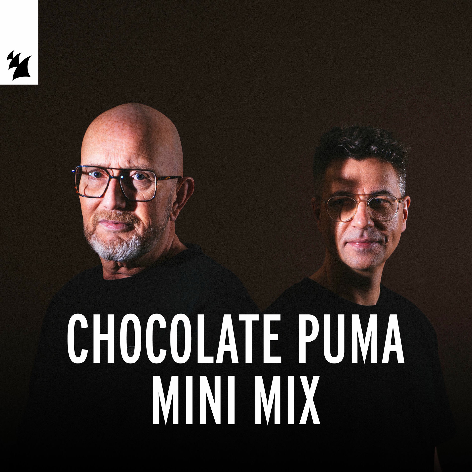 Album cover of Chocolate Puma Mini Mix