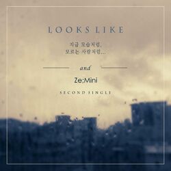Cover of Looks Like