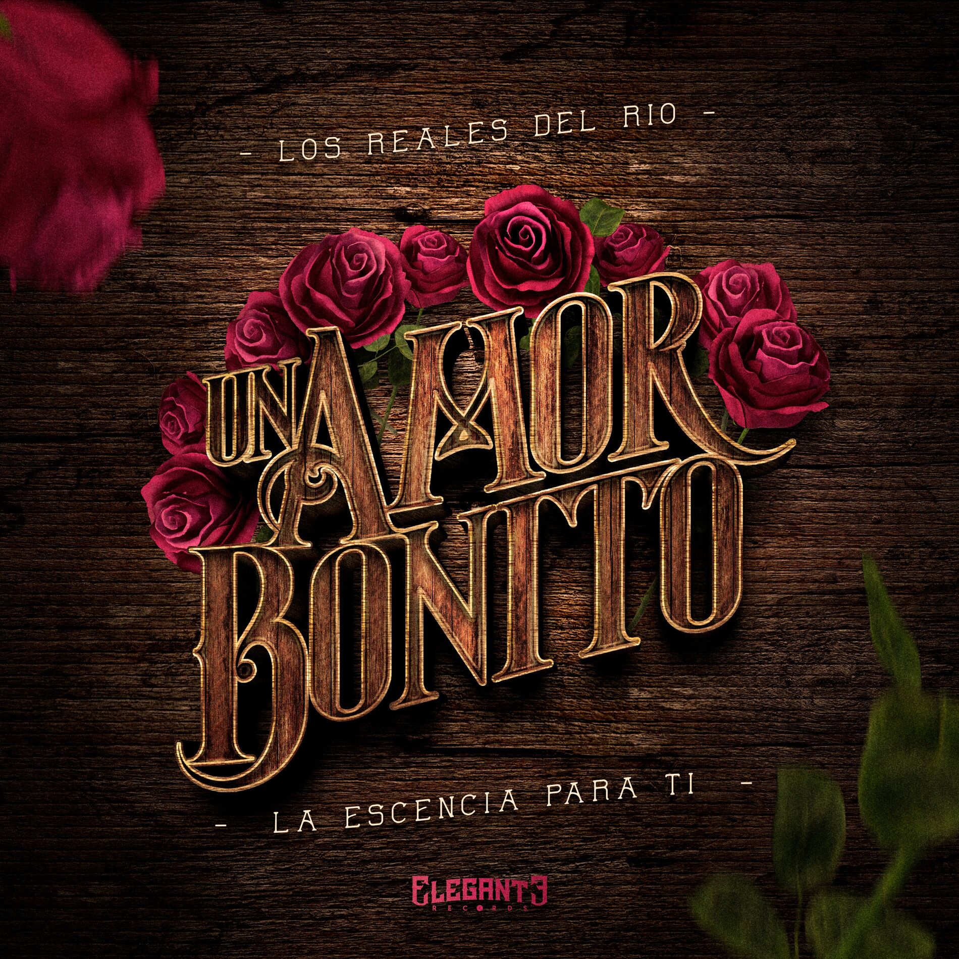 Album cover of Un Amor Bonito