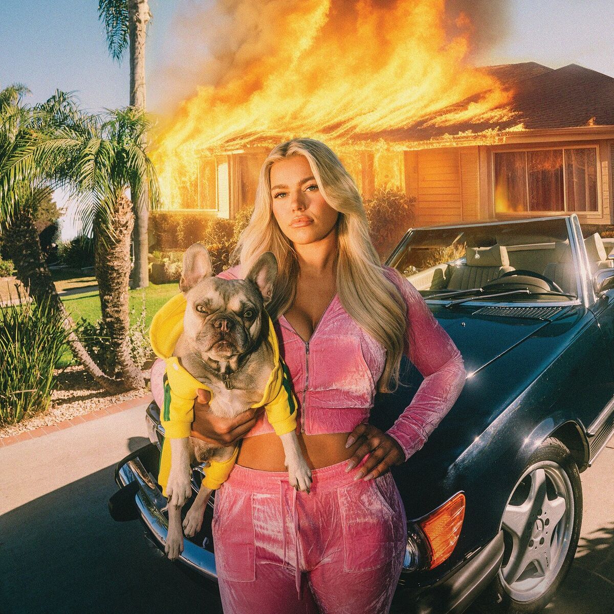 Album cover of House Of Lies
