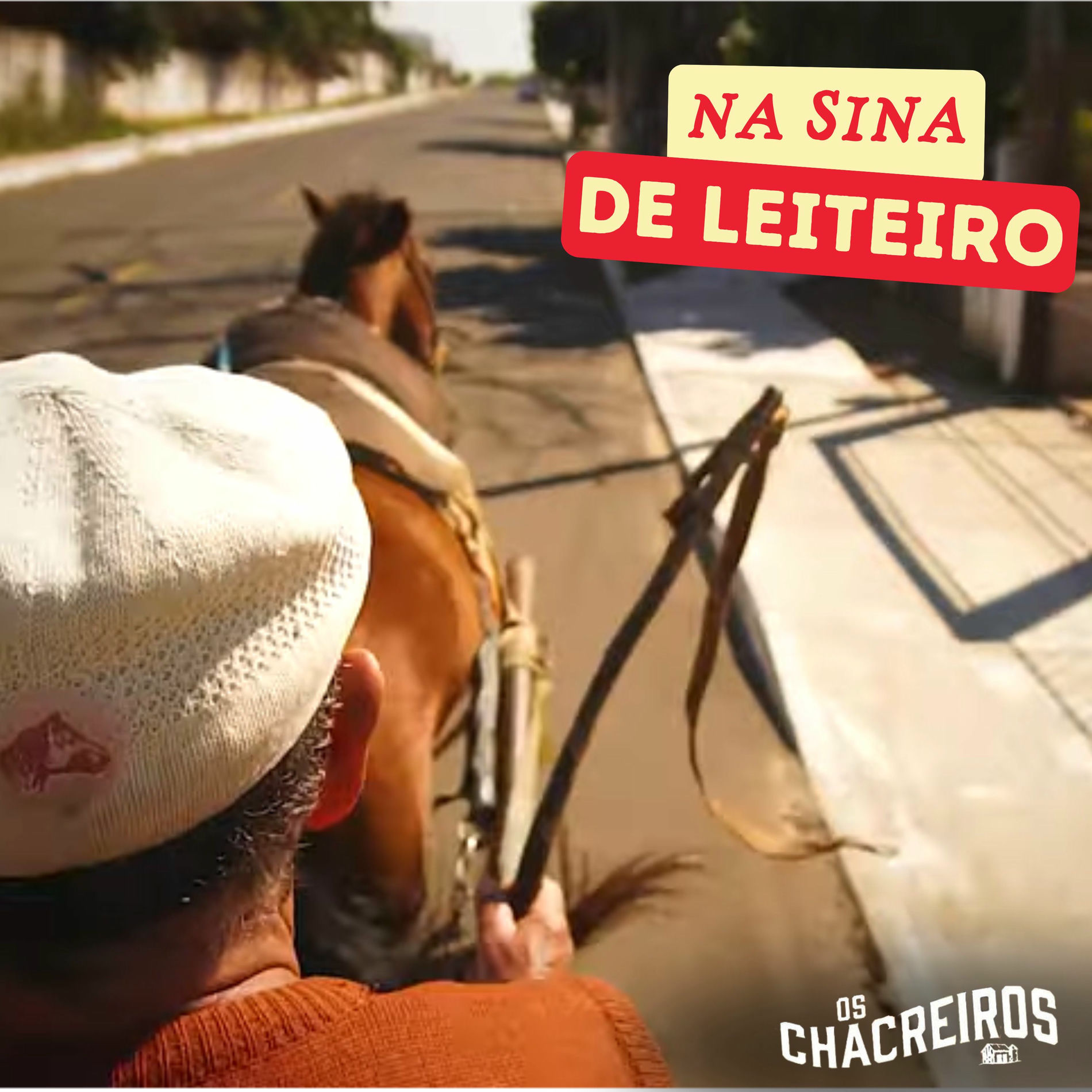Album cover of Na Sina de Leiteiro