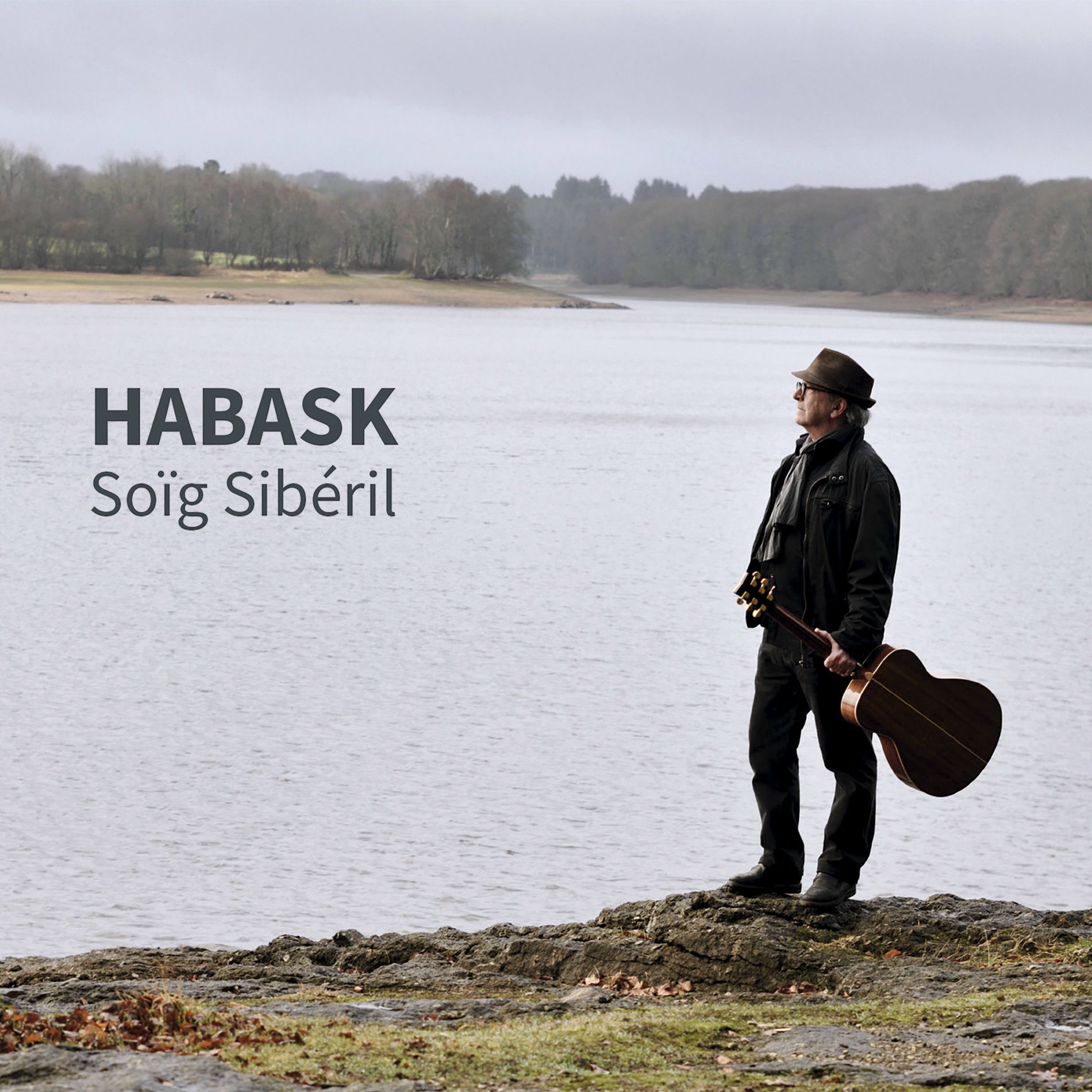 Album cover of Le mascaret