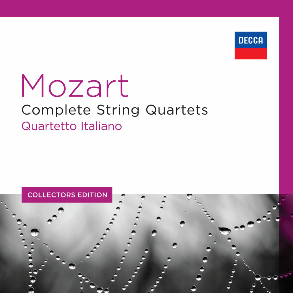 Album cover of Mozart: The String Quartets