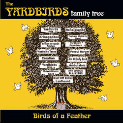 Cover of Birds Of A Feather