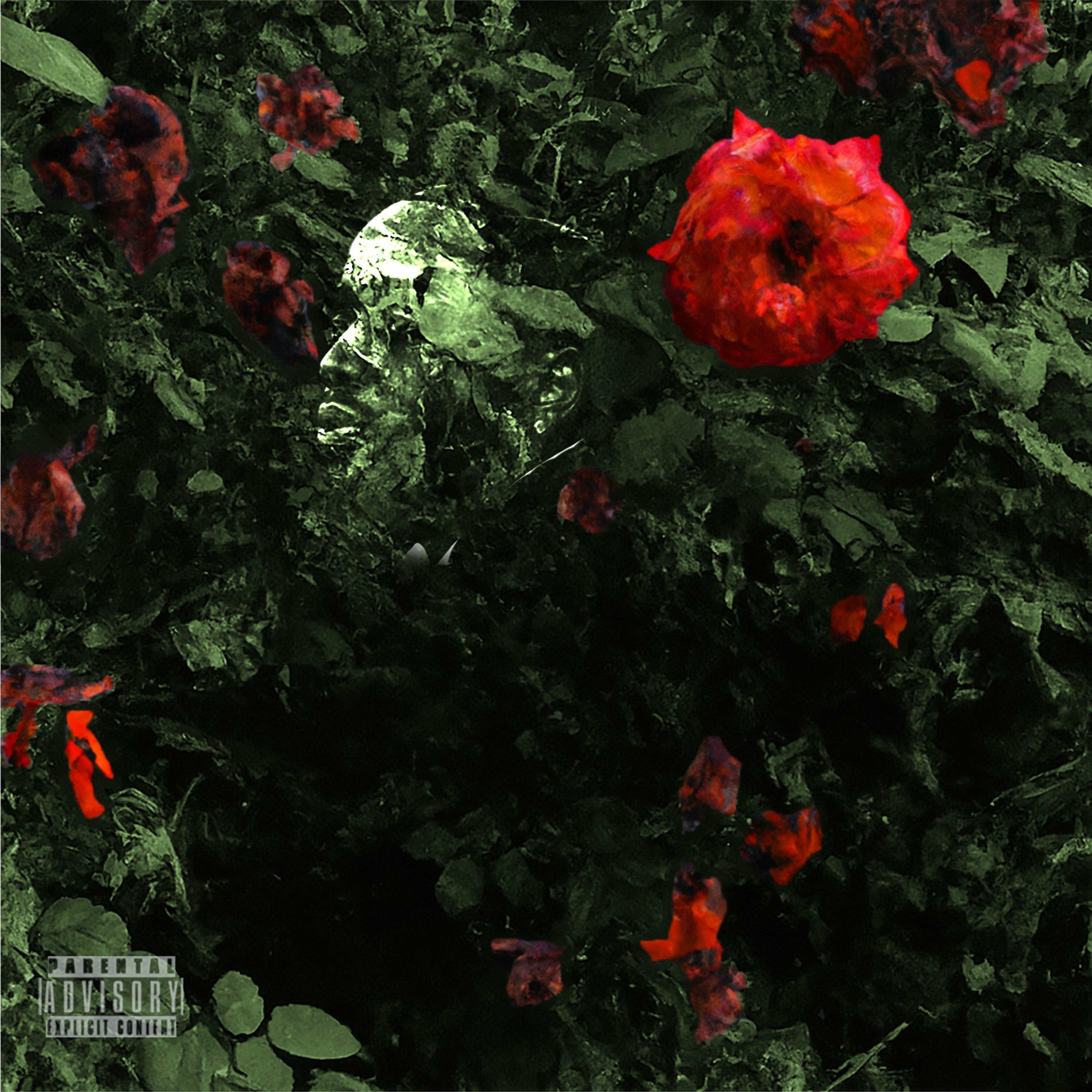 Album cover of ROSE FROM NOTHING