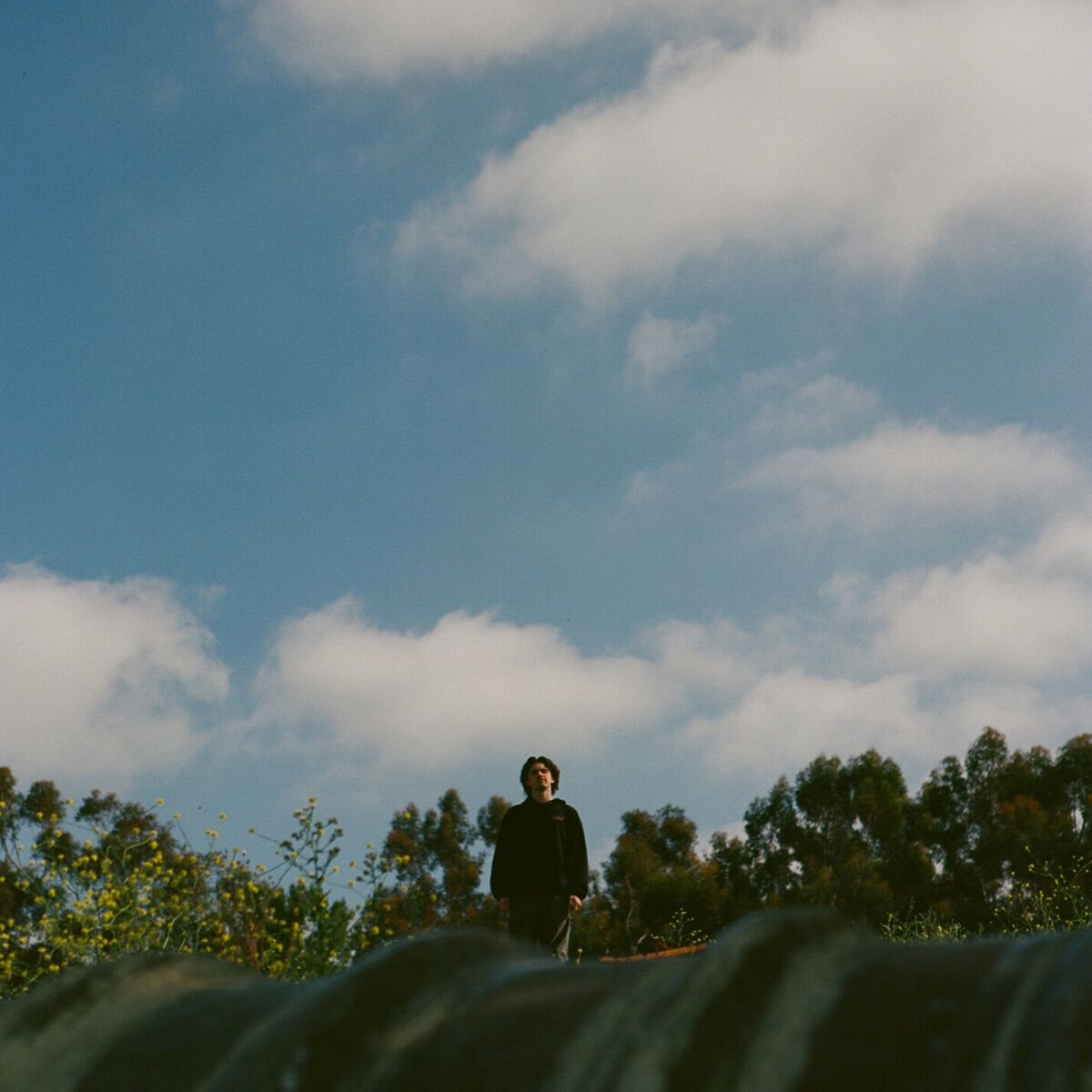 Album cover of Higher