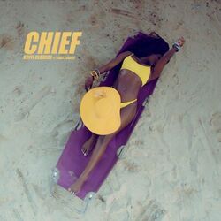 Cover of Chief