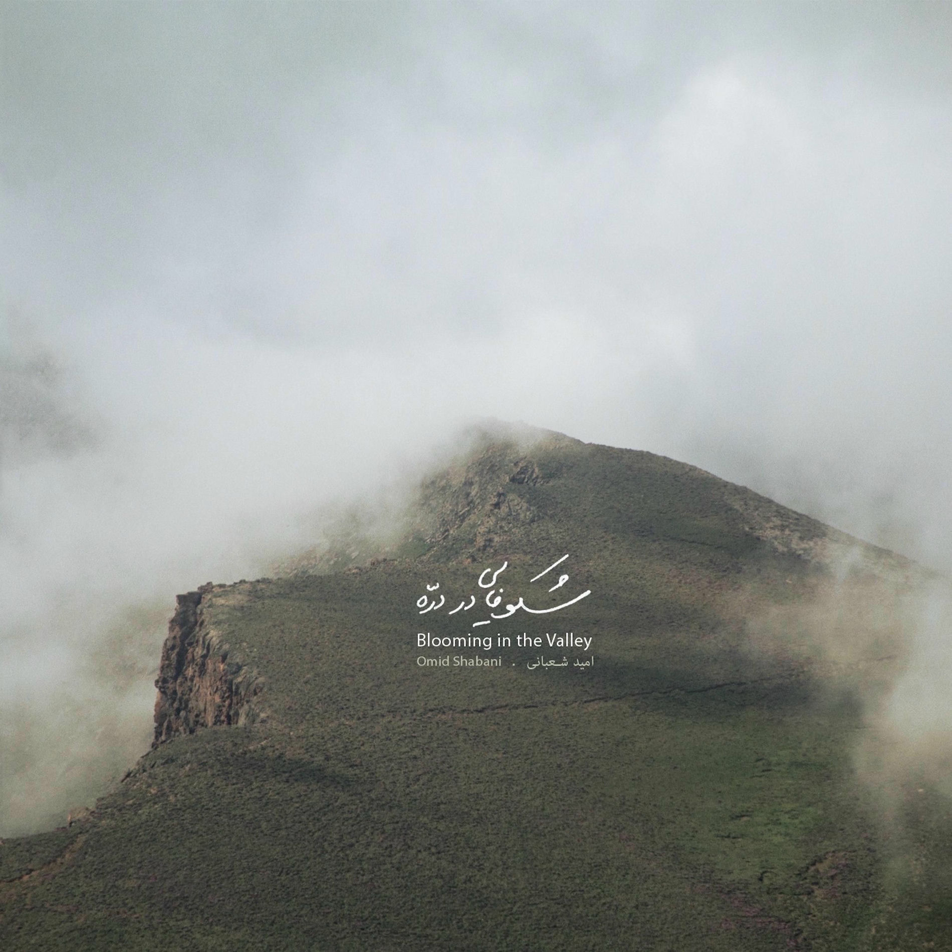 Album cover of Blooming in the Valley