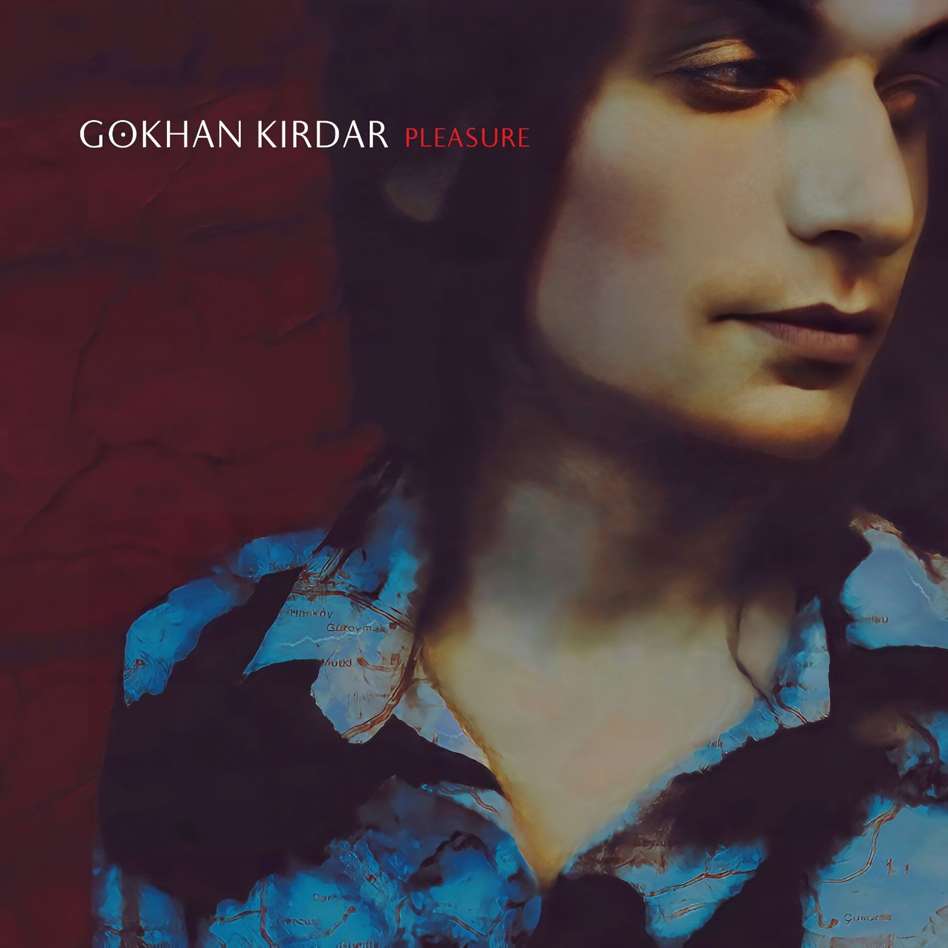 Album cover of Pleasure