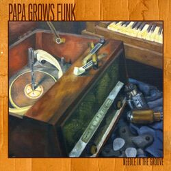 Cover of Needle in the Groove