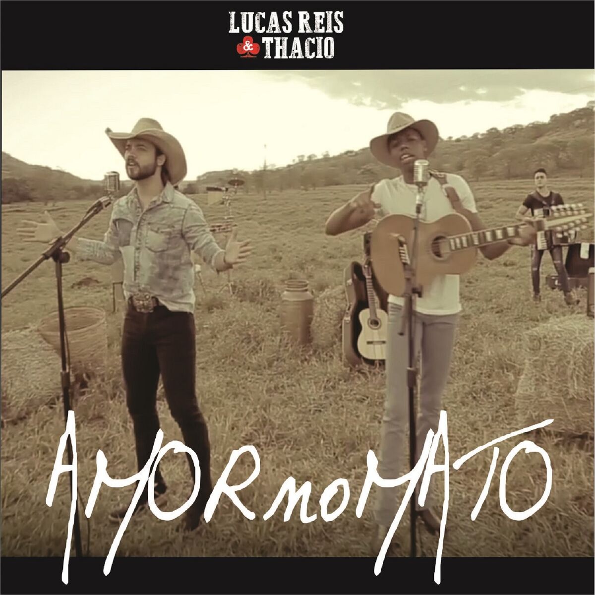 Album cover of Amor no Mato