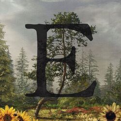 Cover of E